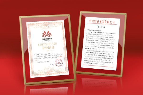 智臻服務(wù) 雄安點贊——友誼咨詢雄安商務(wù)服務(wù)中心項目喜獲點名表揚
